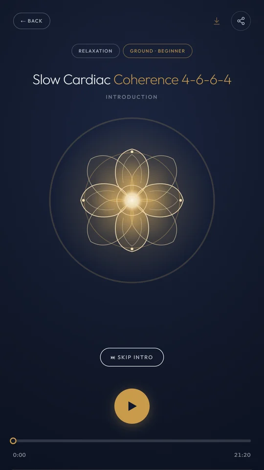 The Pranafy session player with the breathing orb